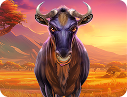 Wild Wildebeest Wins slot game