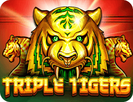 Triple Tigers slot game