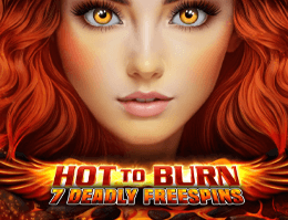 Ot To Burn 7 Deadly Free Spins slot game